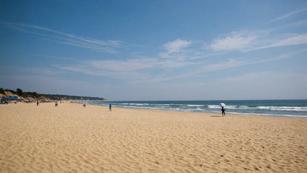 Que faire à seignosse : découvrez ses plages et activités extérieures